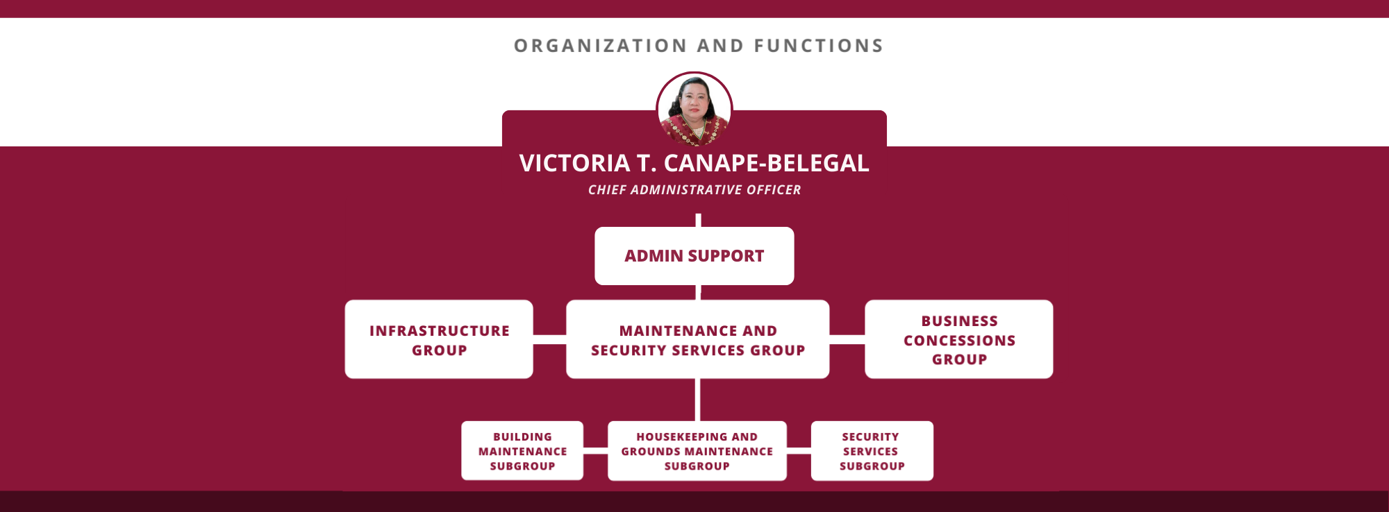 CDMO microsite org chart